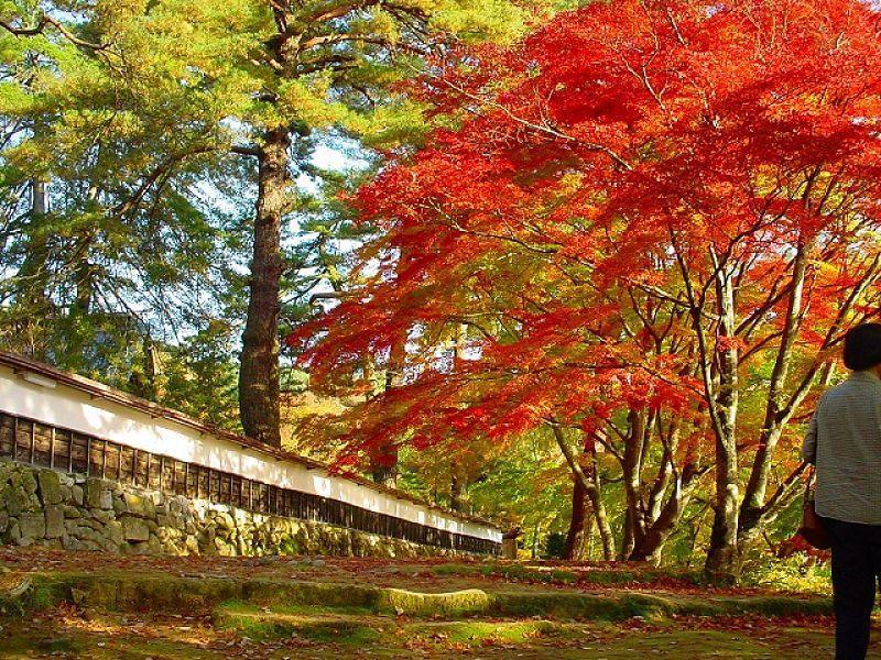 Tabist Hana Hotel Takinoya Aizu-Yanaizu Esterno foto